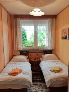 two beds in a room with a window at Ferienwohnung Petronela in Waren