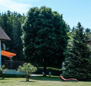 Hatzendorf的住宿－Ferienwohnung Hanna，公园里长着长凳和大树