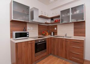 Kuchyňa alebo kuchynka v ubytovaní Apartmany Sileas