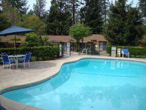 a large blue swimming pool with a table and chairs at Ponderosa Gardens Motel in Paradise