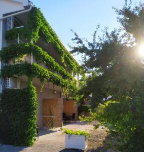 a building with ivy growing on the side of it at SeaEye Trogir in Trogir