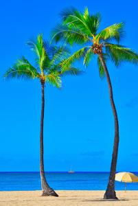 two palm trees on a beach with an umbrella at Gone 2 Florida Vacation Homes in Orlando