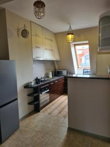 Kuchyňa alebo kuchynka v ubytovaní Yakuzza Apartments