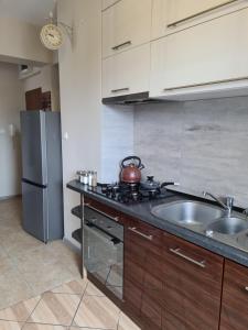Kuchyňa alebo kuchynka v ubytovaní Yakuzza Apartments