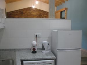 Casa Hozani في Albarrol: مطبخ مع ثلاجة بيضاء ومغسلة