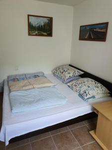 Gallery image of Apartman Runolist in Delnice