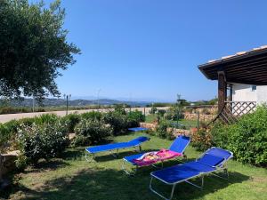 un grupo de sillas azules sentadas en el césped en VILLINO FIORI DI BARAGGE en Palau