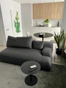 a living room with a couch and a table at Caсtus Apartments 1 in Ivano-Frankivsk