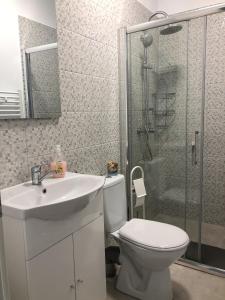 a bathroom with a toilet and a sink and a shower at Gizell Apartment 1 in Sibiu