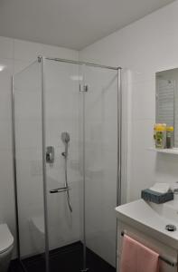 a bathroom with a shower and a sink at Appartment Pri Nacu in Bled