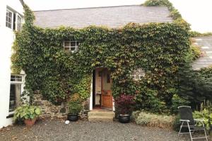 The Byre (Unusual and Different).外面的花园