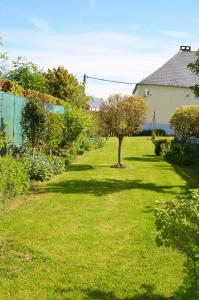 a lawn with a tree in the middle of a yard at Gite La Brasserie Sivry in Sivry