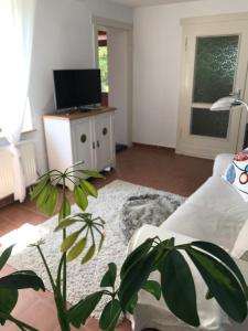 TV a/nebo společenská místnost v ubytování Hering FeWo I Apartment Terrace