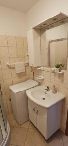 a bathroom with a sink and a toilet and a mirror at Apartments Zdenka in Labin
