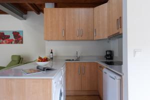 Kuchyň nebo kuchyňský kout v ubytování Apartamentos Bores