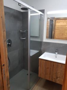 een badkamer met een douche en een wastafel bij Casa Sonia in Canazei