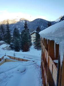 een gebouw bedekt met sneeuw met bomen en bergen bij Casa Sonia in Canazei