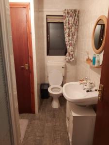 a small bathroom with a toilet and a sink at Foot of the Mournes - Cottage - Sleeps 4 - Parking in Newry