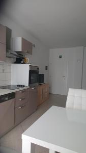 Kuchyň nebo kuchyňský kout v ubytování Apartments Matej & Irena