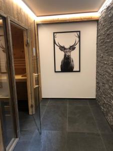 Fotografie z fotogalerie ubytování Appartement zur schlafenden Jungfrau v destinaci Hinterthal