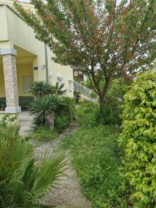 Ogród w obiekcie Five bedroom house near sandy beach Villa Major