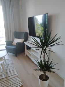 Televízia a/alebo spoločenská miestnosť v ubytovaní Balticus Apartament Premium
