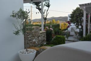 a small tree in a white pot next to a building at ThalaSEA - village Antiparos in Antiparos