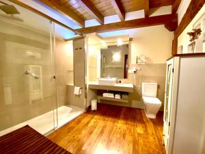 A bathroom at Apartamentos Turísticos Ezcaray Még 37 kép