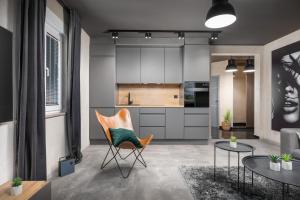 Kuchyňa alebo kuchynka v ubytovaní Luxury Elit Apartment