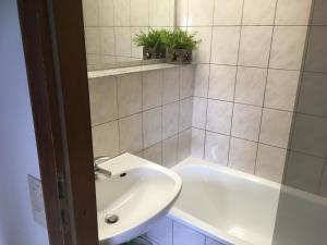 布勞恩拉格的住宿－Waldhexe，浴室设有水槽和2个植物浴缸。