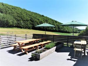 a picnic table and two umbrellas on a patio at Speedys Gästehaus am Brünnchen in Herresbach