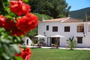 una casa blanca con mesas y sombrillas en un patio en Apartamentos Cortijo Peñardera en Siles