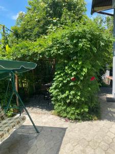 Φωτογραφία από το άλμπουμ του Гостевой дом «Green garden» σε Sukhum