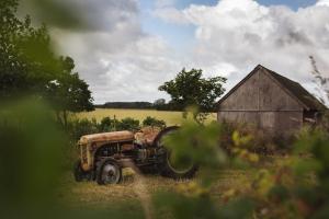 Zahrada ubytování Dambækgaard Sustainable Farm