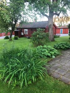 a plant in a yard with a red barn at Rådstugugatan 32 in Nora