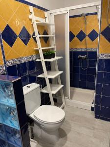 a bathroom with a toilet and a shower at Dream Recova in Santa Cruz de Tenerife