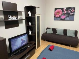 uma sala de estar com um sofá e uma televisão de ecrã plano em Melinda Apartman em Kisvárda