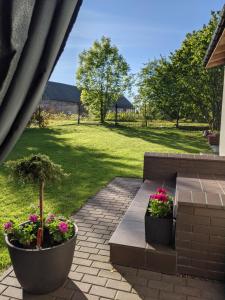 a patio with two potted plants and a grass yard at Przy Przystani in Stegna