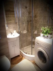 Kúpeľňa v ubytovaní Apartament Wrzos Bieszczady