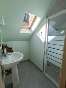 a bathroom with a shower and a sink and a skylight at Gîte Saint Ludan in Rombach-le-Franc