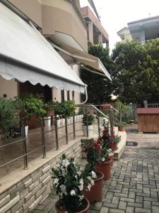 um grupo de vasos de plantas sentados fora de um edifício em Guest House Il Palazzo em Durrës