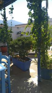 A garden outside La Casa di Chico