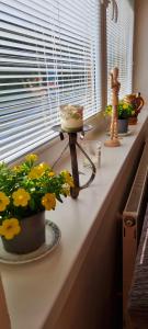 a window sill with flowers and a cake on a table at Mountain Village Apartment Pinewood *** in Vyšné Ružbachy