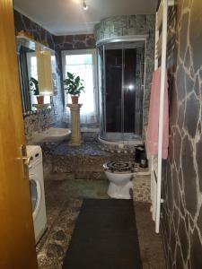 La salle de bains est pourvue de toilettes, d'une douche et d'un lavabo. dans l'établissement Ferienwohnung Kunterbunt, à Winterberg