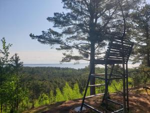 a chair in a tree on top of a hill at Orange Studio in Juodkrantė +13 photos