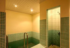 a bathroom with a shower with green tiles at Viesu nams Vizbulītes in Talsi