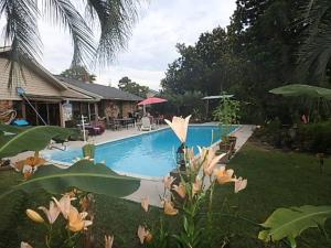 uma piscina em frente a uma casa em Poolside Paradise em Navarre