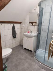 貝斯奇察克沃茲卡的住宿－Siedlisko Waliszówka，浴室配有卫生间、盥洗盆和淋浴。