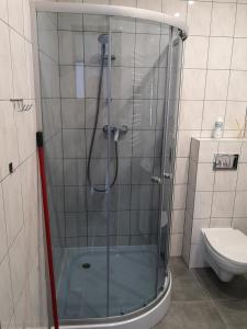 a bathroom with a glass shower with a toilet at Siedlisko Waliszówka in Bystrzyca Kłodzka
