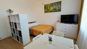 a small room with a bed and a table and chairs at Apartament Orzysz "Żabi Staw" in Orzysz